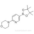 Морфолин, 4- [5- (4,4,5,5-тетраметил-1,3,2-диоксаборолан-2-ил) -2-пиридинил] CAS 485799-04-0